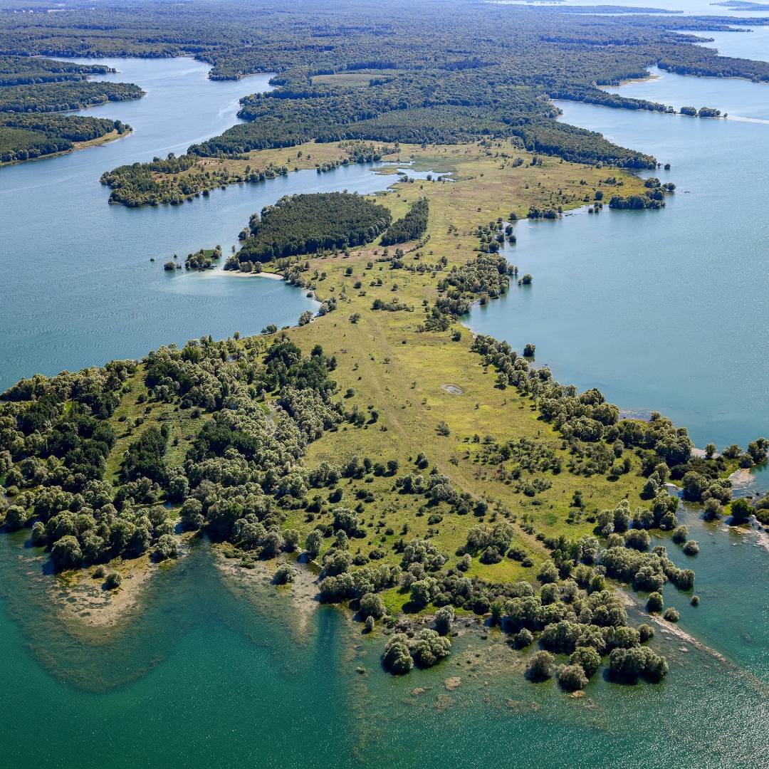 lac amance