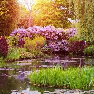 giverny